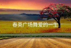 春英广场舞爱的一生.