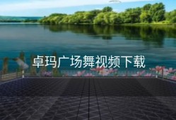 卓玛广场舞视频下载