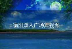 衡阳双人广场舞视频