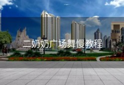 二奶奶广场舞慢教程