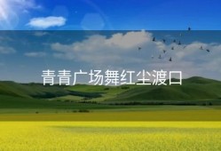 青青广场舞红尘渡口