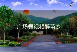 广场舞视频醉苗乡