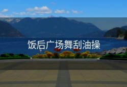 饭后广场舞刮油操