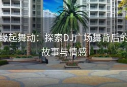 缘起舞动：探索DJ广场舞背后的故事与情感