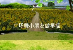 广场舞小朋友做早操