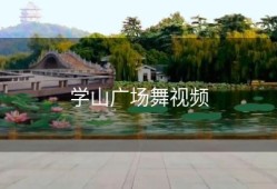 学山广场舞视频