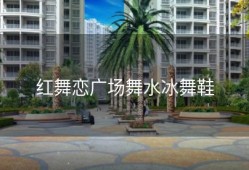 红舞恋广场舞水冰舞鞋