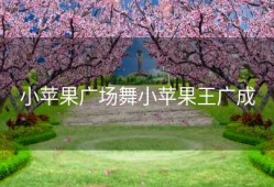 小苹果广场舞小苹果王广成