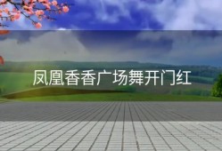 凤凰香香广场舞开门红