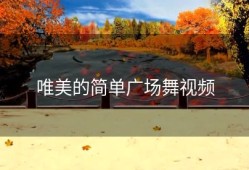 唯美的简单广场舞视频