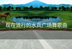 现在流行的水兵广场舞歌曲