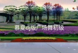 慕夏dj版广场舞初级
