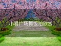小君广场舞饭拍欣赏