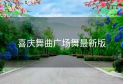 喜庆舞曲广场舞最新版