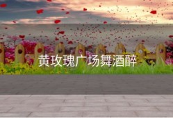 黄玫瑰广场舞酒醉