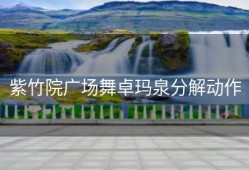 紫竹院广场舞卓玛泉分解动作