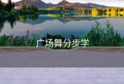 广场舞分步学