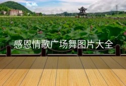 感恩情歌广场舞图片大全
