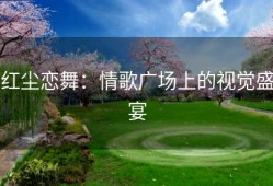 红尘恋舞：情歌广场上的视觉盛宴