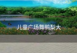 儿童广场舞鸭梨大