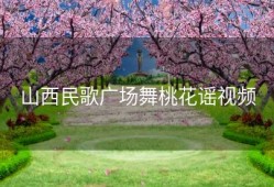 山西民歌广场舞桃花谣视频