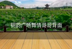 铜韵广场舞情哥哥背面