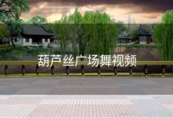 葫芦丝广场舞视频