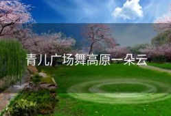 青儿广场舞高原一朵云