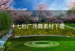 十七秒广场舞素材下载