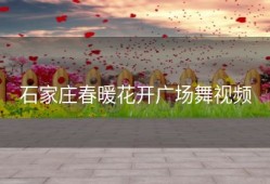 石家庄春暖花开广场舞视频