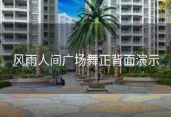 风雨人间广场舞正背面演示