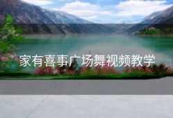 家有喜事广场舞视频教学