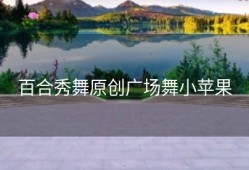 百合秀舞原创广场舞小苹果