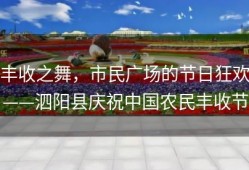 丰收之舞，市民广场的节日狂欢——泗阳县庆祝中国农民丰收节