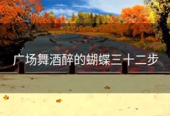 广场舞酒醉的蝴蝶三十二步