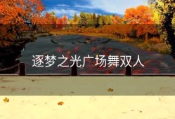逐梦之光广场舞双人
