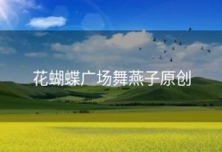 花蝴蝶广场舞燕子原创