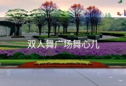 双人舞广场舞心儿