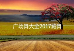 广场舞大全2017藏舞