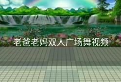 老爸老妈双人广场舞视频