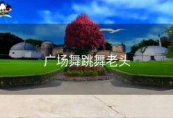 广场舞跳舞老头