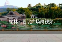榆林公园跳广场舞视频
