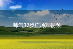 帅气32步广场舞视频