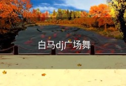 白马dj广场舞