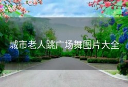 城市老人跳广场舞图片大全