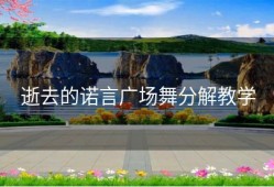 逝去的诺言广场舞分解教学