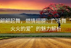 翩翩起舞，燃情翅膀：广场舞“火火的爱”的魅力解析