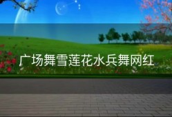 广场舞雪莲花水兵舞网红