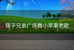 筷子兄弟广场舞小苹果老歌