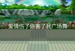 爱情伤了你害了我广场舞